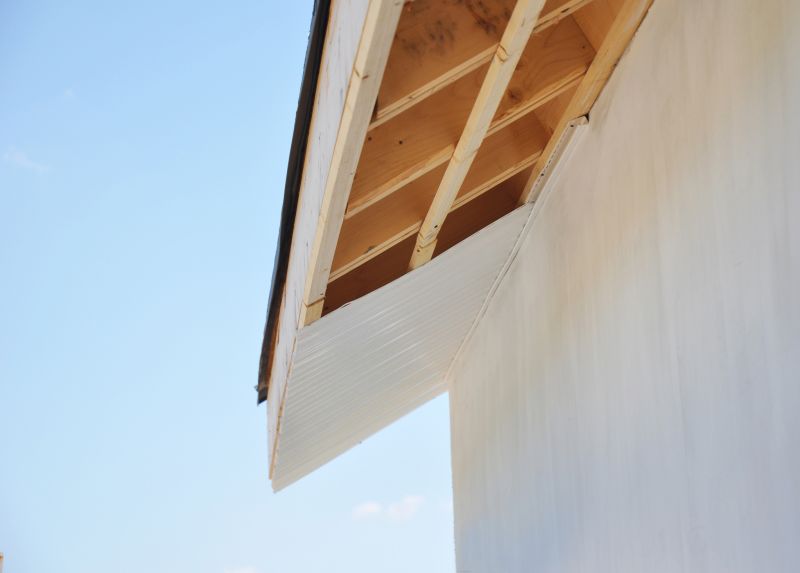 Soffit Damage Repair in Conroe, TX